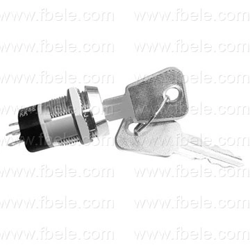 Switch Lock/Key Lock Switch/Key Switchs Fb20