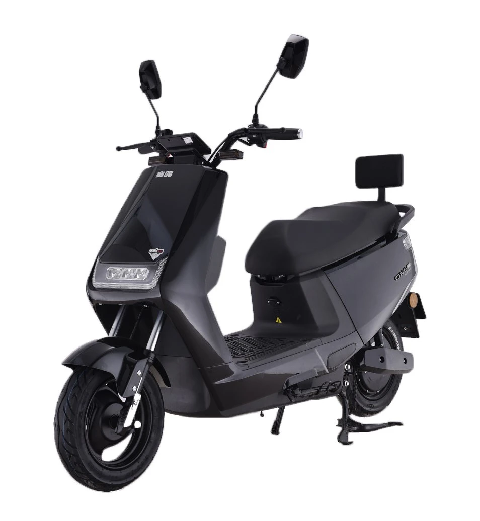 Saige CEE DU CONSEIL DE L'Inde sur le marché n95 Châssis en acier au carbone; disque arrière batterie plomb-acide -20-3260/72V ah 1000W30h électrique du moteur 250cc Dirt Bike