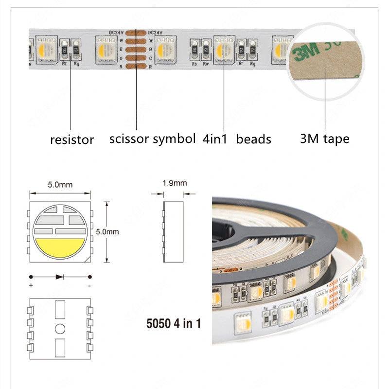 Programmable 12V Waterproof Magic SMD 5050 Remote Backlight Flexible LED RGB Strip