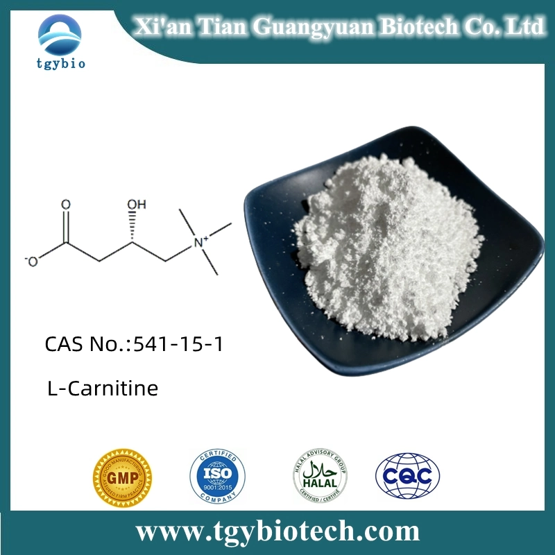 Factory Supply Best Price L-Carnitine Powder CAS 541-15-1 for Losing Weight