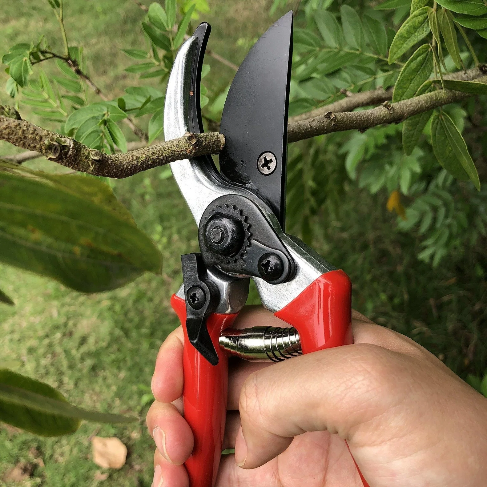 Hot Sale Professional Bypass Pruning Shears Ergonomically Designed Non-Slip Garden Tool