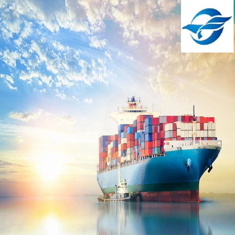 Reliable International Logistics Agent Shipping to El Salvador with Low Rates