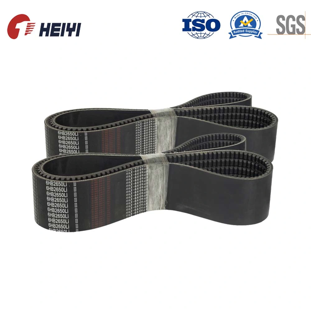 Heiyi Factory Directly Supply Raw Edge Cog V Belt Xpa, Xpb, Xpc, Xpz, Ax, Bx, Cx, Ox for Tractor, Mulching Head