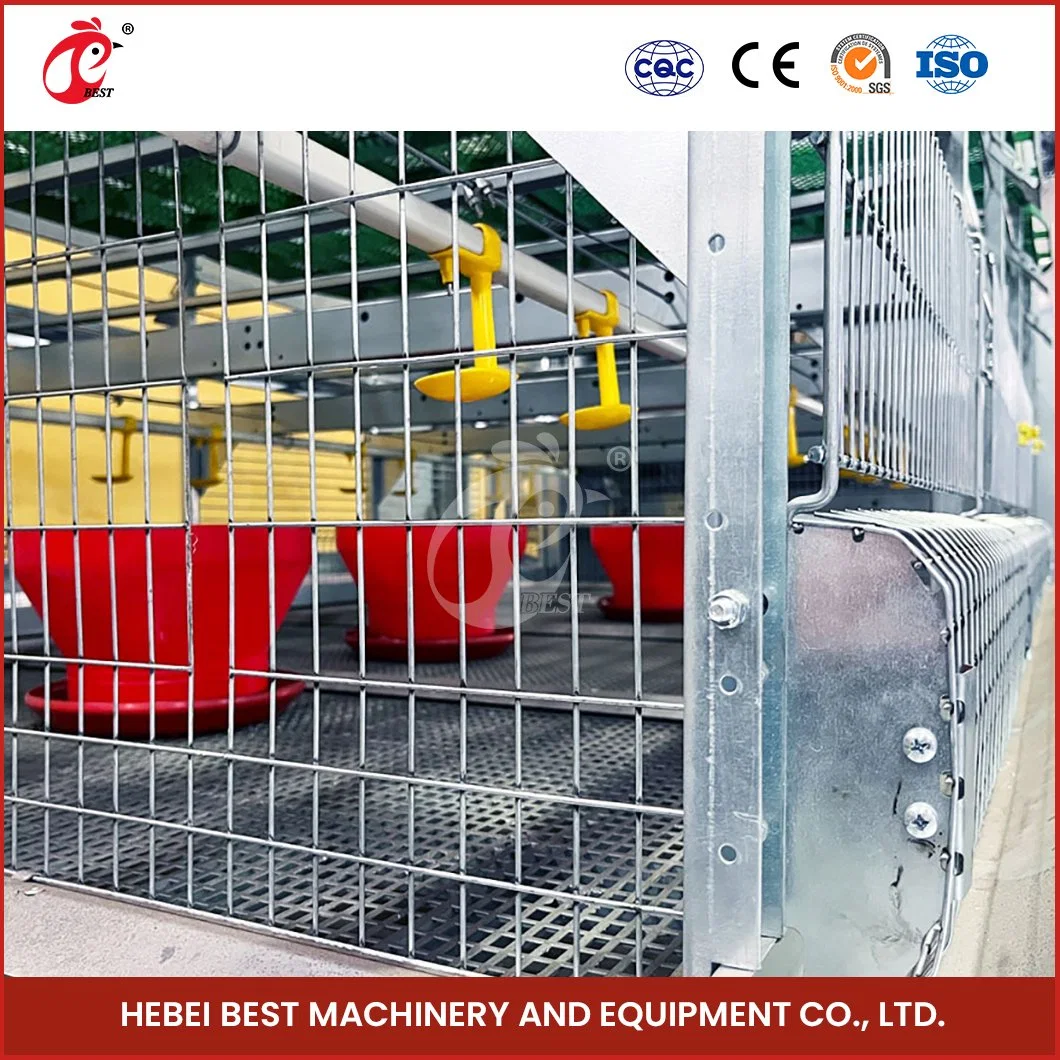 Bestchickencage H Type Chicks Cage Breeder Cage China Sturdy Spacious Brooder Cage Manufacturer High-Quality Durable and Easily Clean Layer Pullet Cage