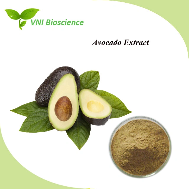 Kosher Halal Certified Prunus Gratissima Extract Avocado Extract