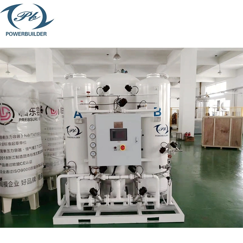 China Supplier Professional Manufacturer N2 Gas Production Equipment Psa Nitrogen Generator for Industrial Use