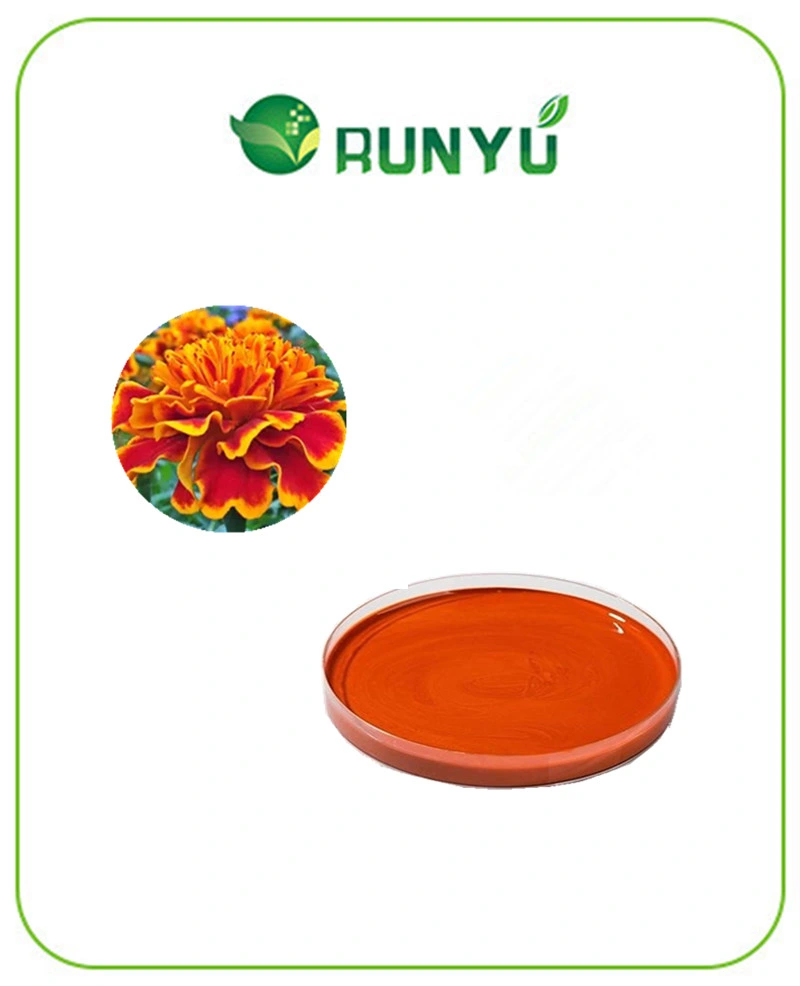 High quality/High cost performance 20% Lutein 1%Zeaxanthin Oil