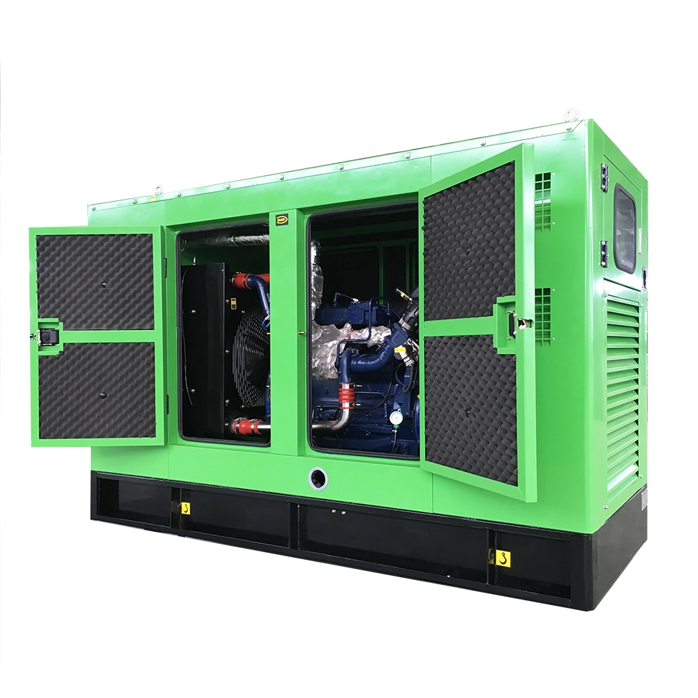 Ce Approved 100kw Biogas Power Generator for Biogas Plant