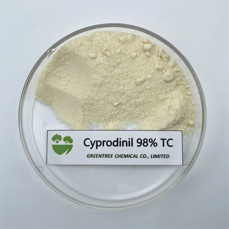 121552-61-2 fungicidas plaguicidas ciprodinil, el 98% TC