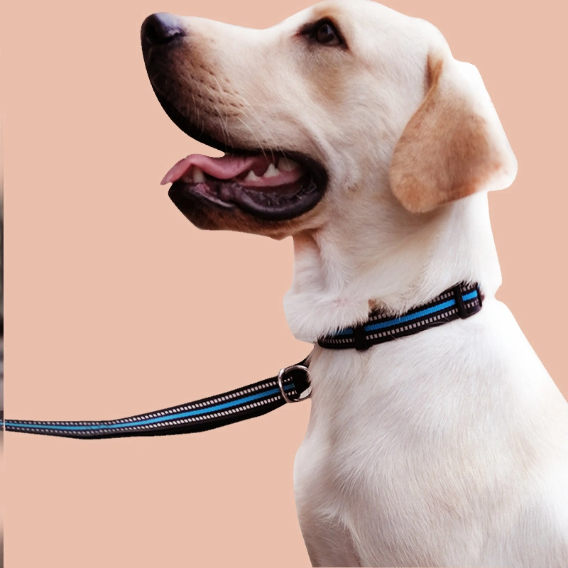 Leash الحرير التأملي الأصفر، Leash الكلب، Reflective Pet Products