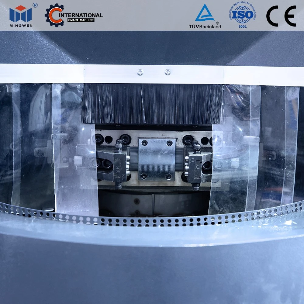 Roary Transfer Machine for Water Gauge Machining MW-6g8z-S