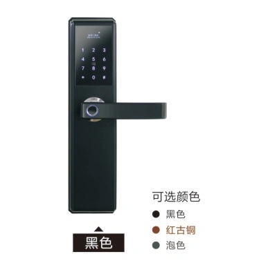 Intelligent Lock/Smart Lock/Fingerprint Lock /Automatic Door Lock 8819