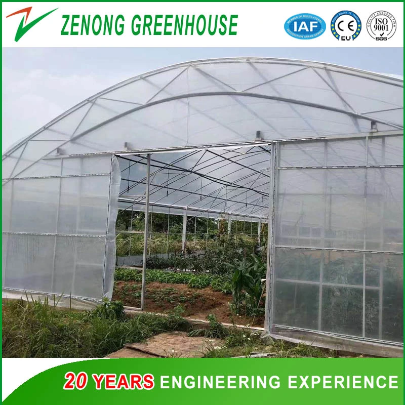 Garden Used Film Covered Tents Greenhouse for Seed Nursery/Planting Vegetables/Flowers