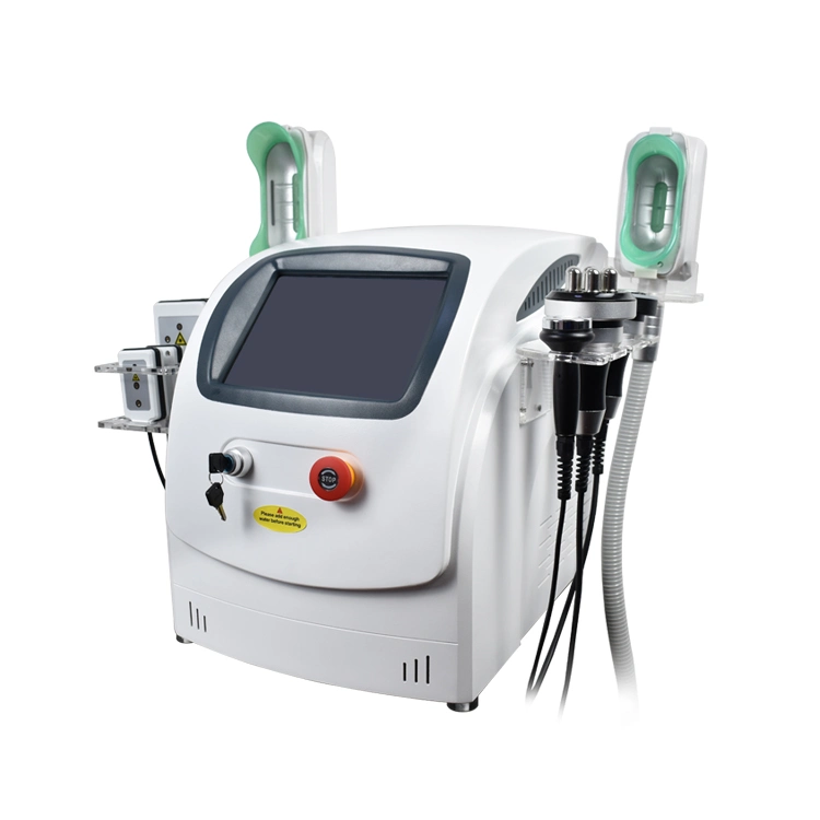 Discount High quality/High cost performance 360 Cryolipolysis Body Slimming Machine Beauty Salon Equipment