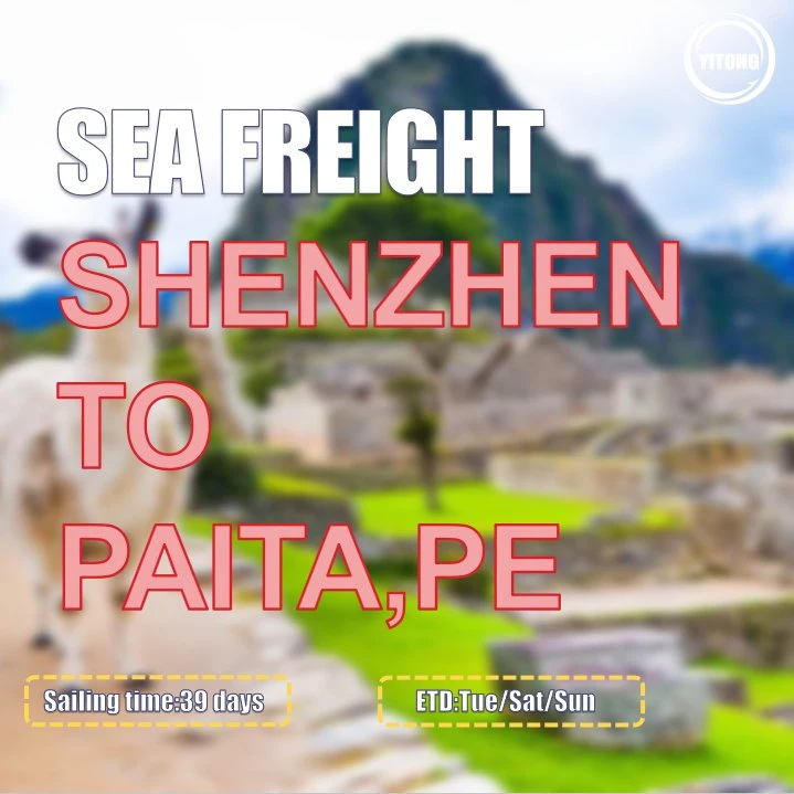 Sea Freight Rates Per Kg From Shenzhen to Paita Peru