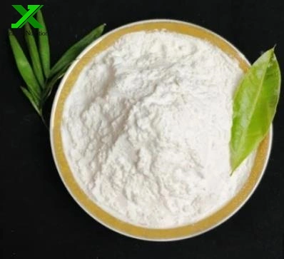 Factory Glycine Betaine Powder Amino Acid Supplement Materials CAS 107-43-7