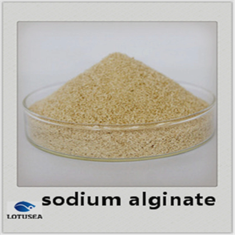 Industrial Sodium Alginate for Textile Use 150 Mesh 3% 500cps