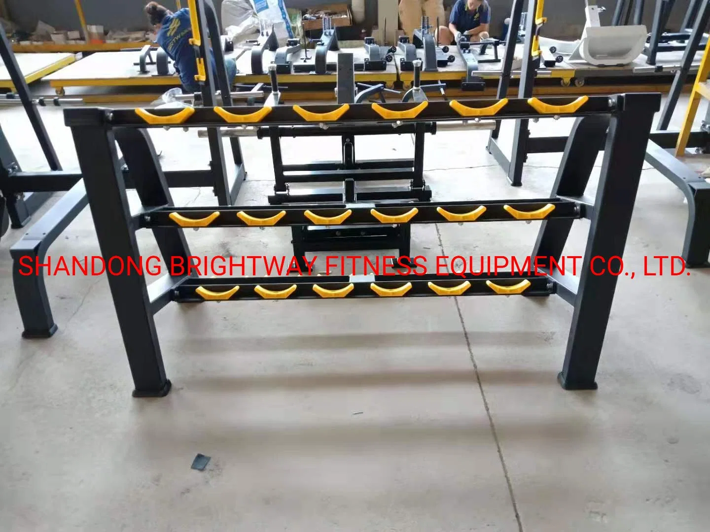 Fitness 2019 Nuevo Diseño Brightway equipamiento comercial Brtw Tb67 Belleza pesa Rack con certificado SGS