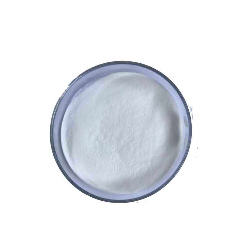 China Supplier Nicotinic Acid Powder 99% Purity Animal Feed Additives Vitamin B3