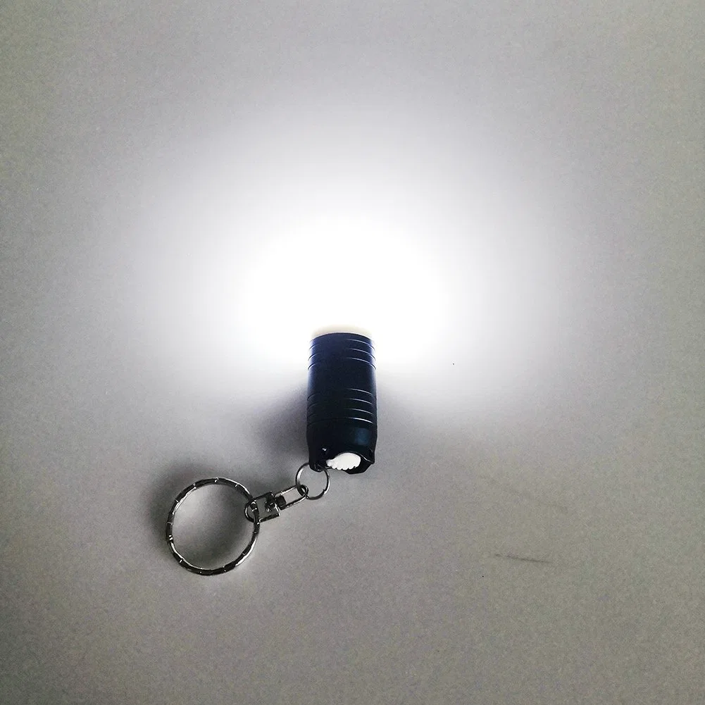 Yichen 30 Lumen Mini LED Keychain Flashlight Portable Tube Key Ring Light