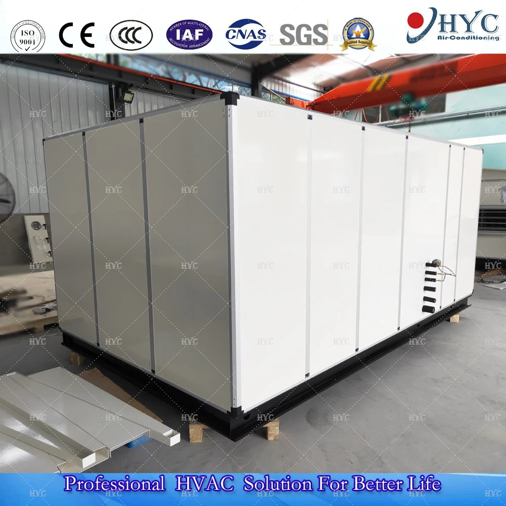 Heat Recovery Fresh Air Handling Unit/Ahu/Combined Air Conditioner Cooling System