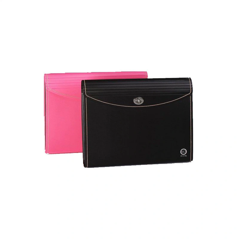 PP Foam Cover Expanding&#160; File Folder for Business