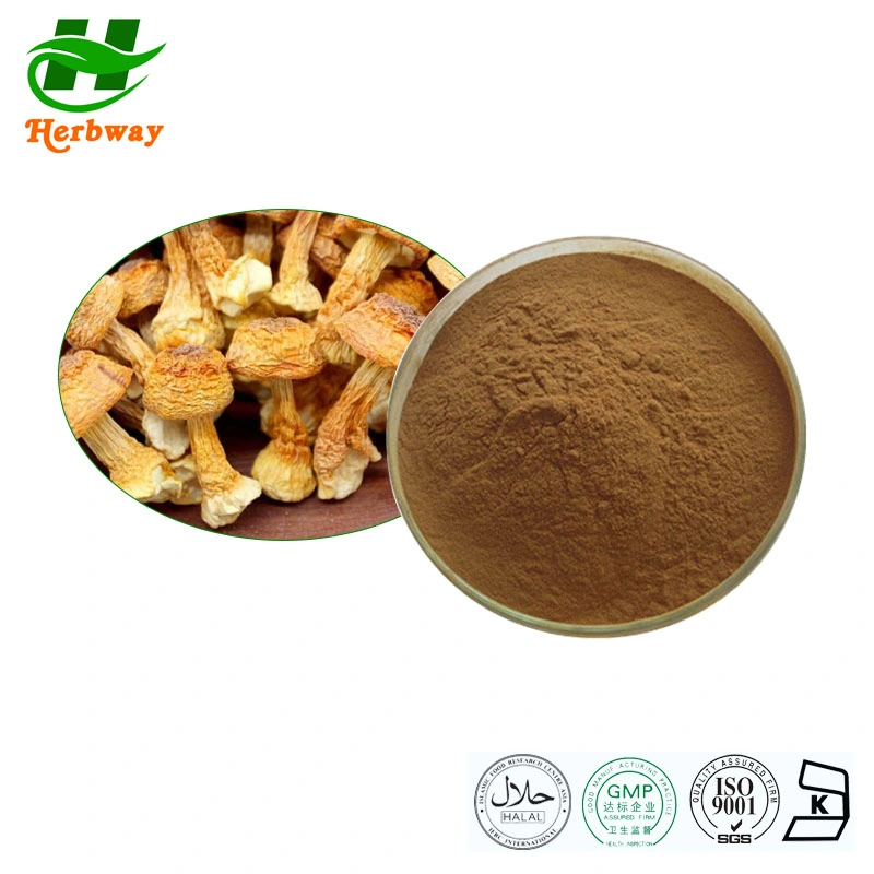 Herbway Cordyceps Acid Antibacterial Regulating Immunity Agaricus Blazei Cordyceps Sinensis Extract