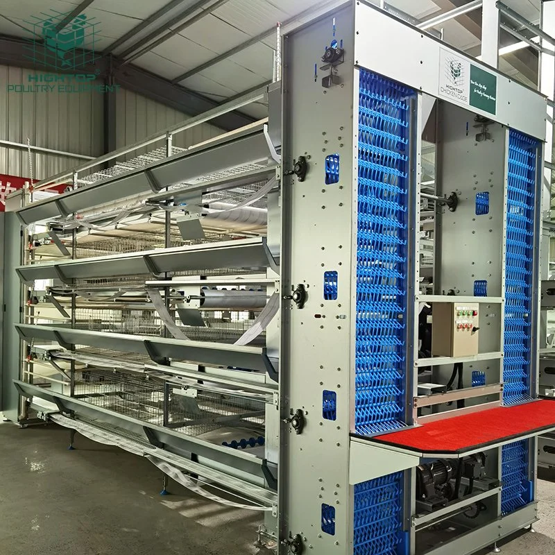 Neues Design Automatisches System Ei Huhn Batterie H Typ heiß DIP Galvanized Layer Chicken Cages