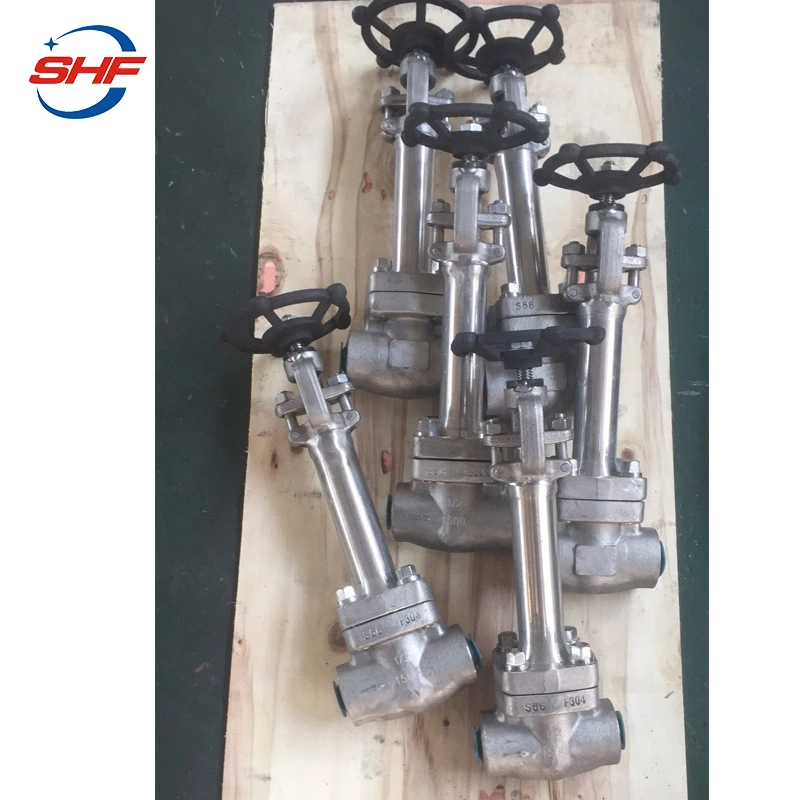 Shf High quality/High cost performance  OEM Cryogenic Gate Valve Price