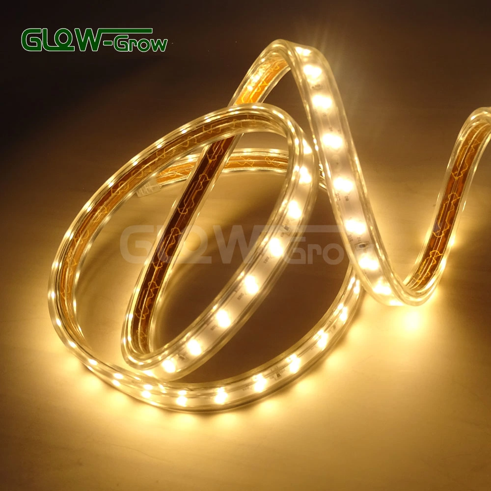 High Voltage Double Line IP65 Waterproof 120LEDs/M SMD 2835 4000K White LED Strip Lamp