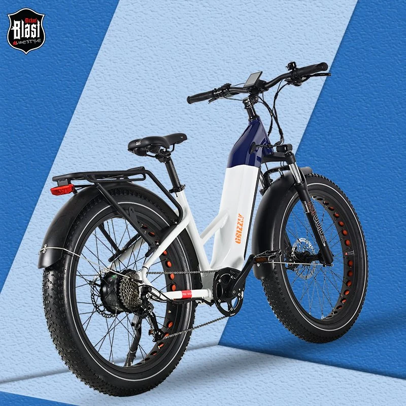 New Type Fast Dirt Mountain Ebike 750W Big Rate Hub Motor Electric Bikes