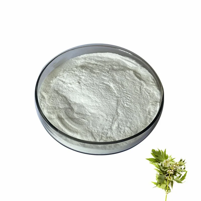 Nature Stachydrine هيدروكلوريد مسحوق Motherwort Extract Powder