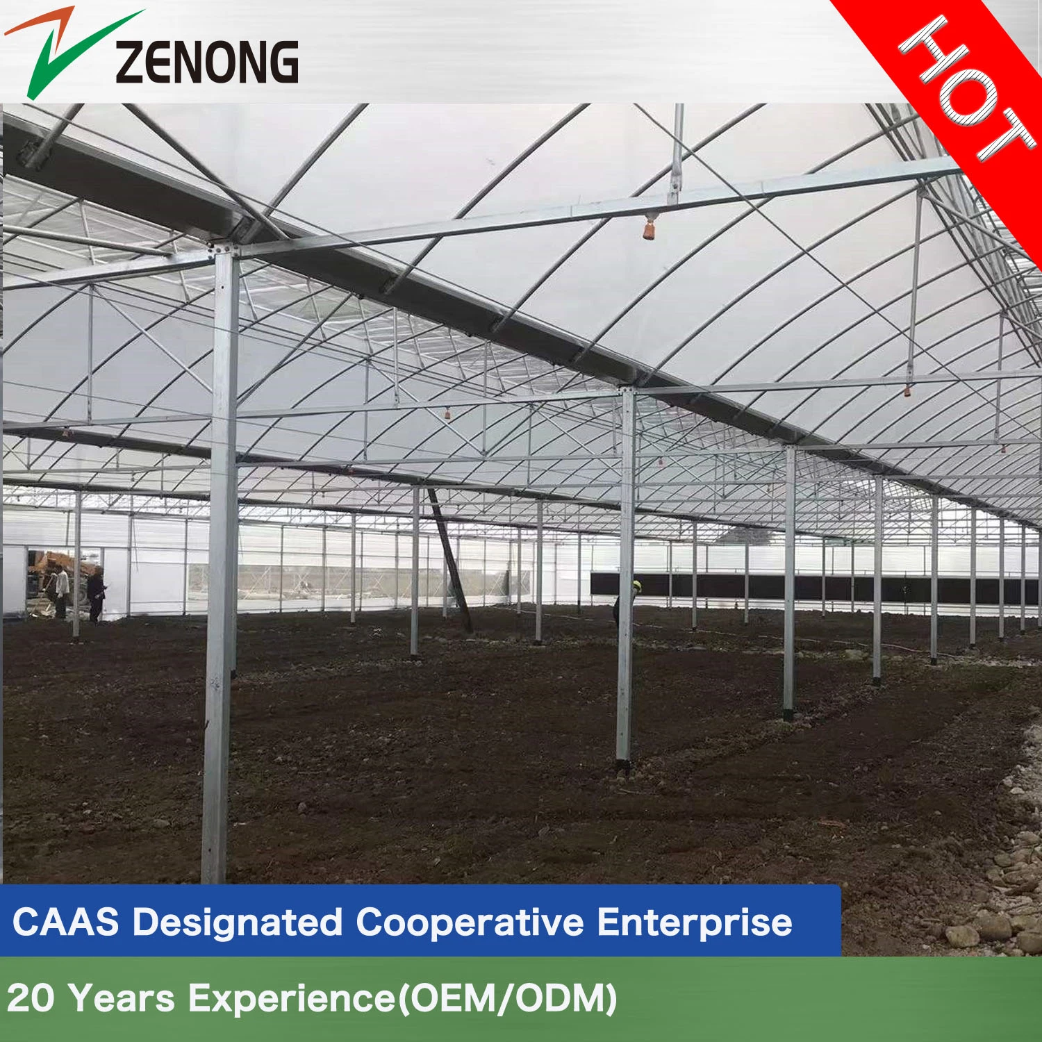 Plastic Film Greenhouse with Good Roof Ventilation and Cooling Heating System for Vertical Farming