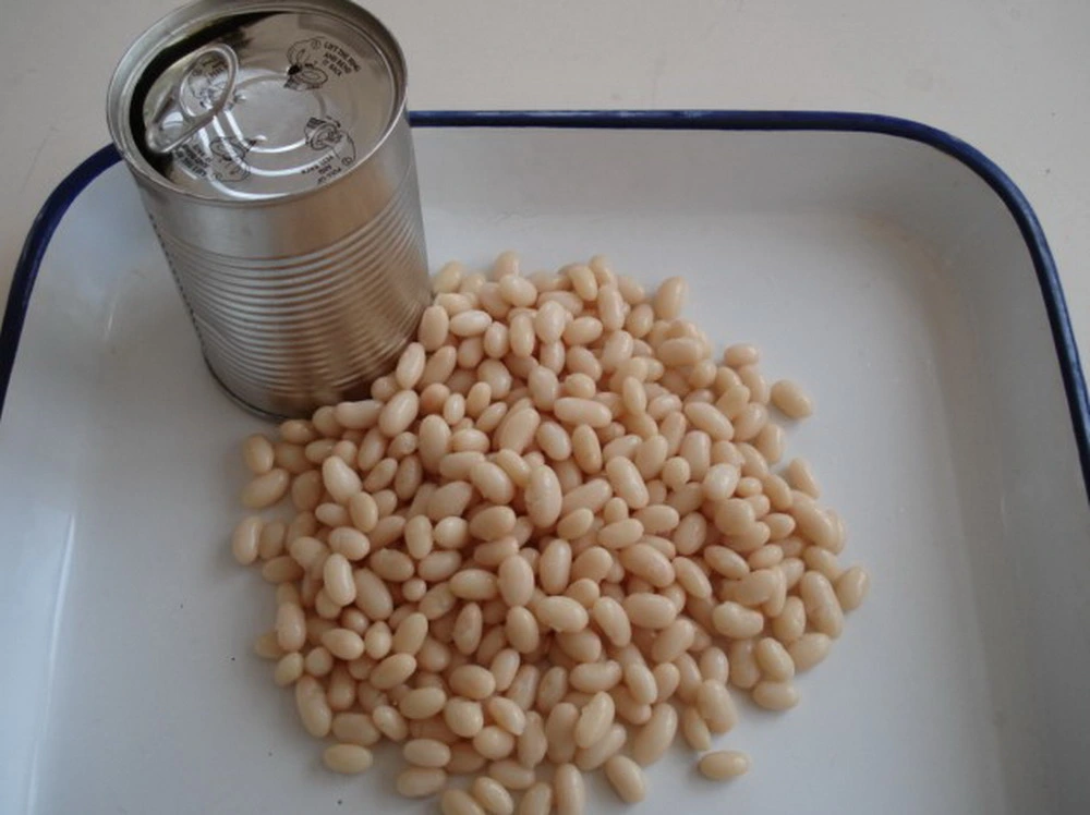 Best Selling Canned White Kidney Bean