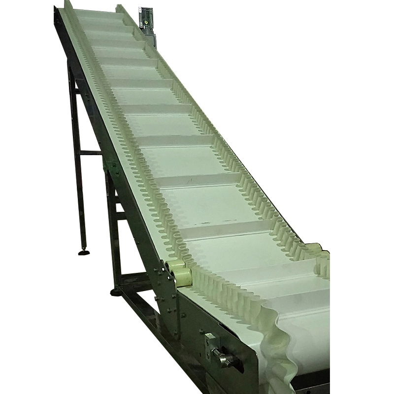 High Precision Flexible Chain Conveyor Machine Used in Different Industries