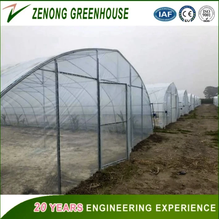 High quality/High cost performance UV Treated Plastic Film Greenhouse for Planting/Farming/Vegetables/Melons/Flowers
