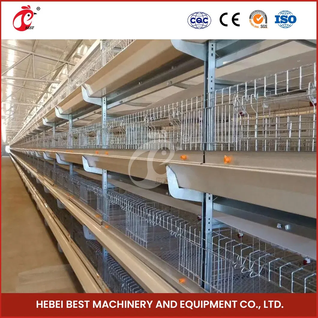 Estrutura H Bestchickencage gaiolas de frangos de corte China Televisão Galinheiro material de aço Fabricação de criação de aves de gaiola de frangos de corte