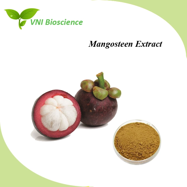 Kosher Certified 100% Natural Mangostin Mangosteen Fruit Extract