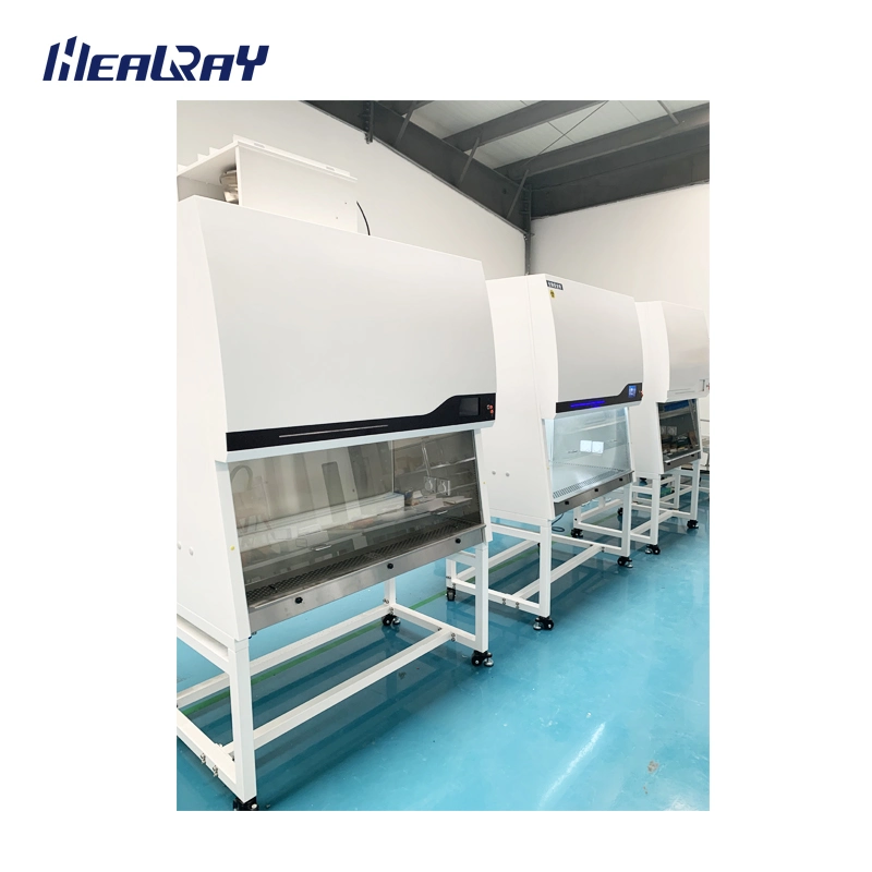 China Big Factory Good Quality Biosafety Cabinet Wholesale/Supplier Class II A2 Biological Safety Cabinet