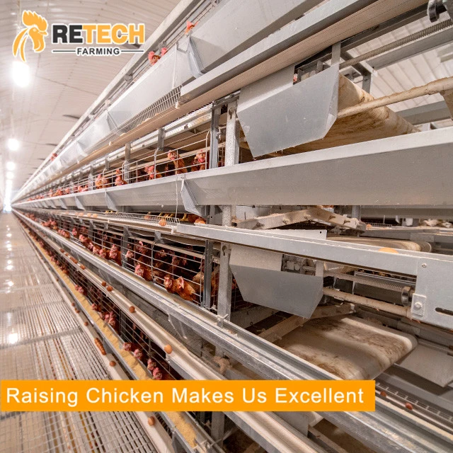 Hot Sale Automatic Poultry Farm Battery Layer Chicken Cage for Feeding