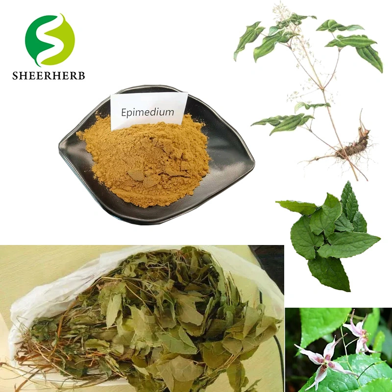 Pharmaceutical Grade Body Building Icariin 60% Powder Buy Bulk Epimedium Powder