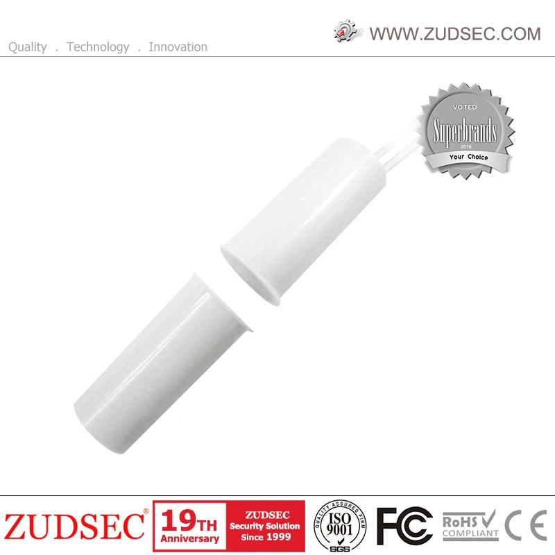 High-Quality Magnetic Window /Door Sensor for Security System