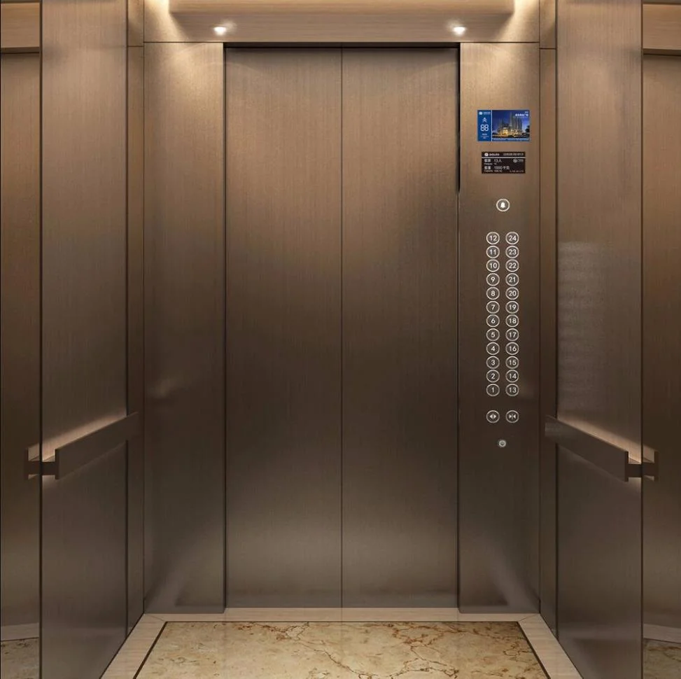 Sightseeing Home Villa Passenger Elevator Mrl From China