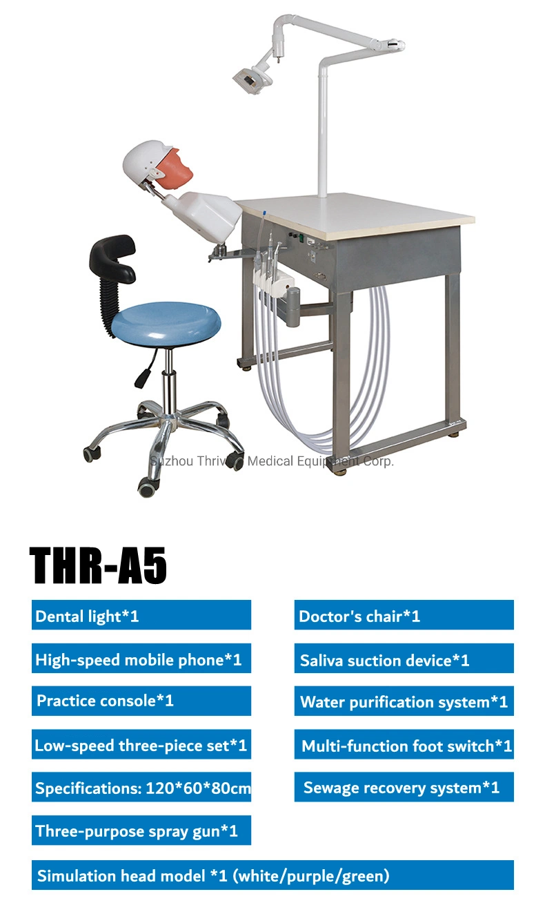 Modelo Fabricante Dental de la cabeza del maniquí simulador Dental sillón dental montado maniquí para la formación