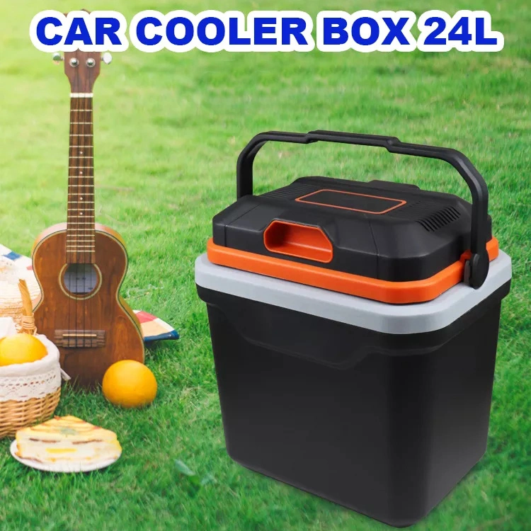 Heating Cool 220V AC DC 12V Ice Cooler Box