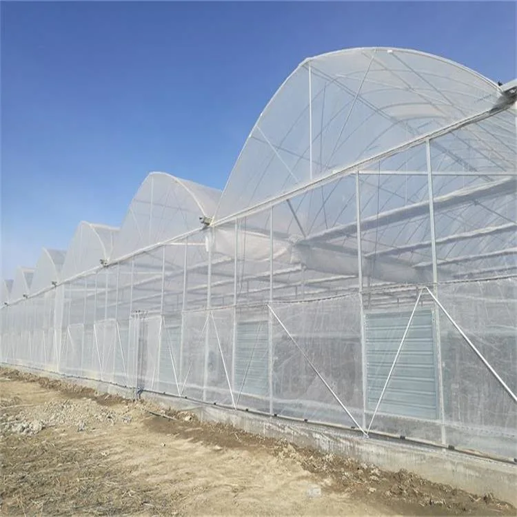 2023 Neue Muti-Span Plastikfolie Poly Tunnel Gewächshaus Landwirtschaft Sägezahn Grüne Häuser mit holländischem Eimer-System Erdbeer-Hydrokultur mit Kühlung System