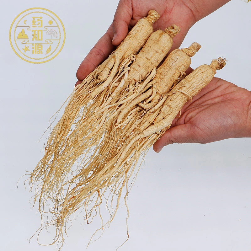 REN Shen Natural Chinese Medicine сушеный Ginseng Radix в бестарной