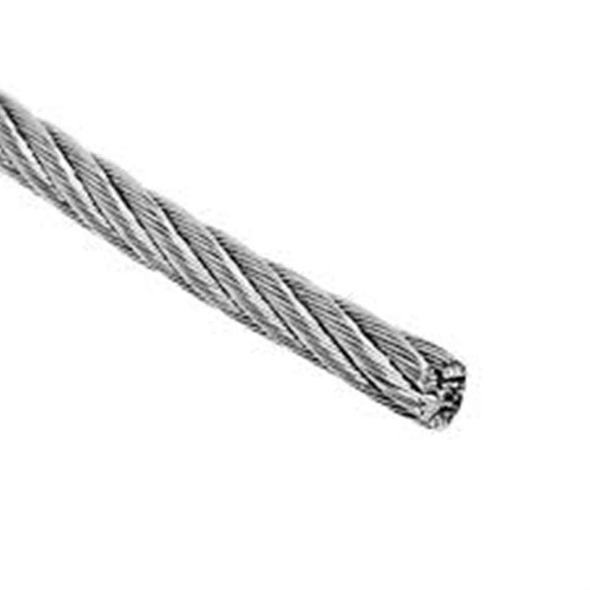 AISI 316 304 7X7 Stainless Steel Wire Rope Made for Invisible Protective Rope with High Tensile and Quality