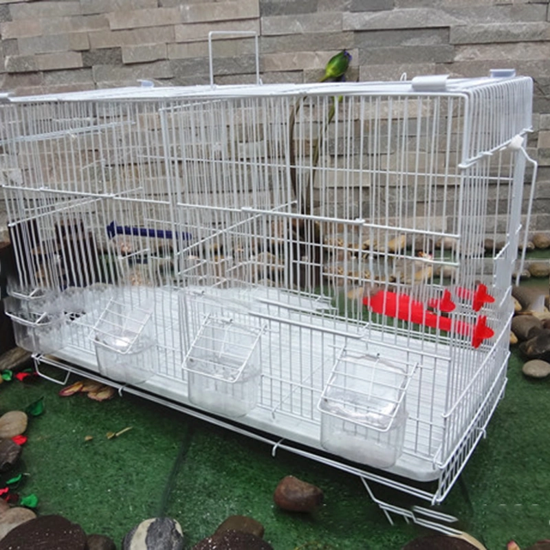 High-Quality European Wrought Iron Bird Cage Floor Collapsible Bird Cage