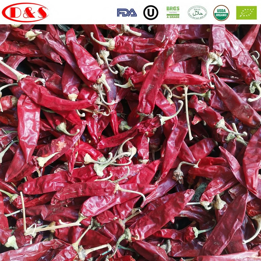 Fine Quality Dried Red Chili From China